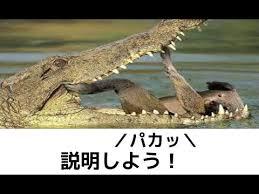 ガルちゃんに貼り付けようとして保存している画像を貼るトピ