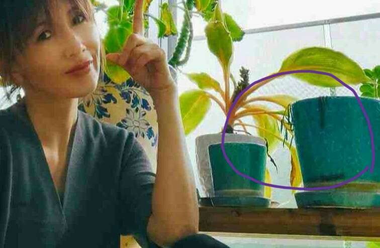 工藤静香、飯島直子と2ショット公開「カッコよくて、綺麗で、優しくて素敵」など反響
