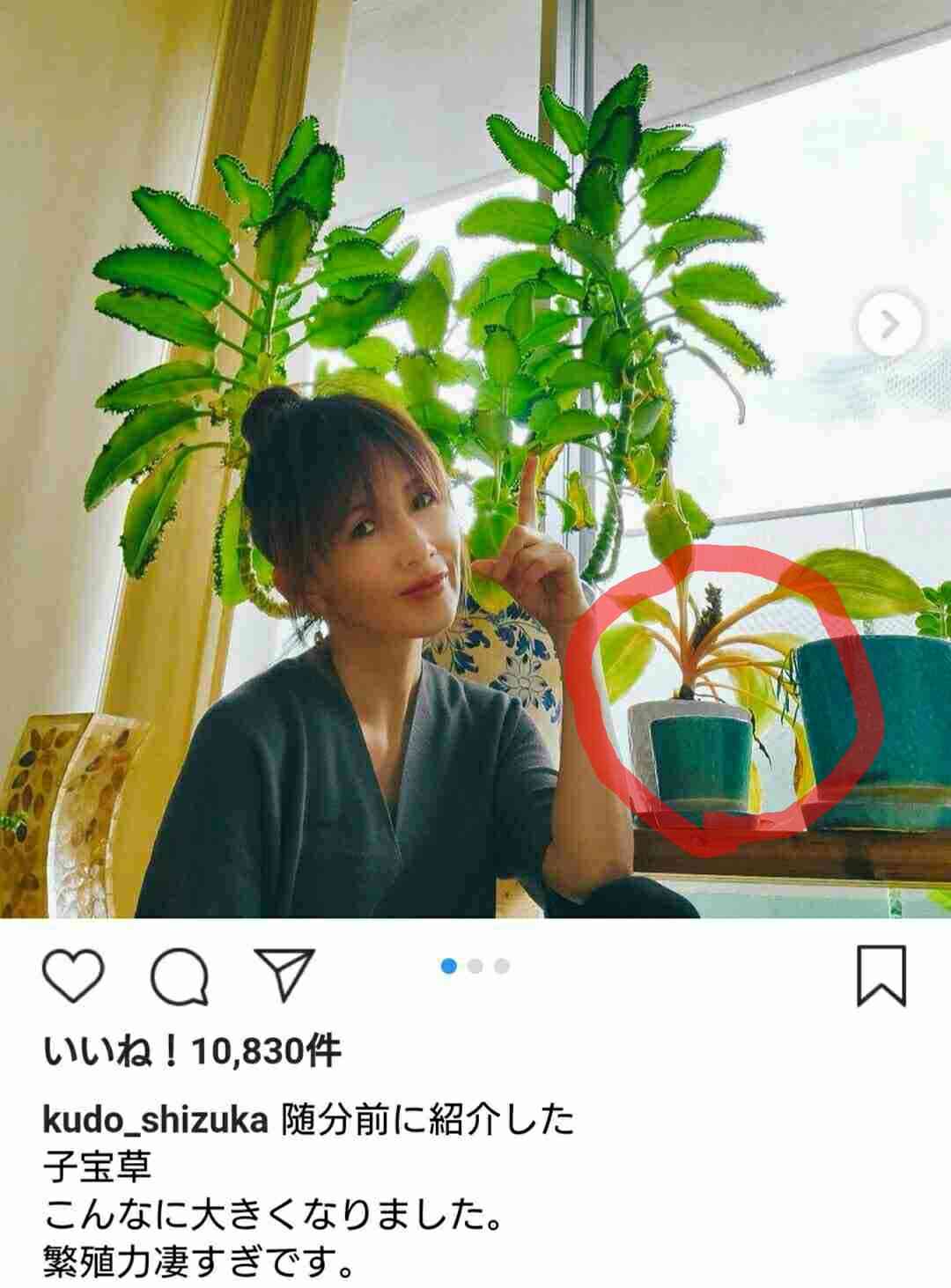 工藤静香、飯島直子と2ショット公開「カッコよくて、綺麗で、優しくて素敵」など反響