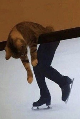 なんか変だと思った画像を貼ってみるトピ