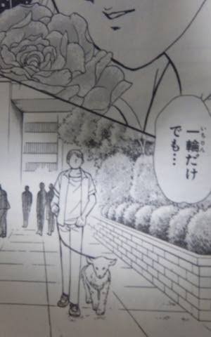なんか変だと思った画像を貼ってみるトピ