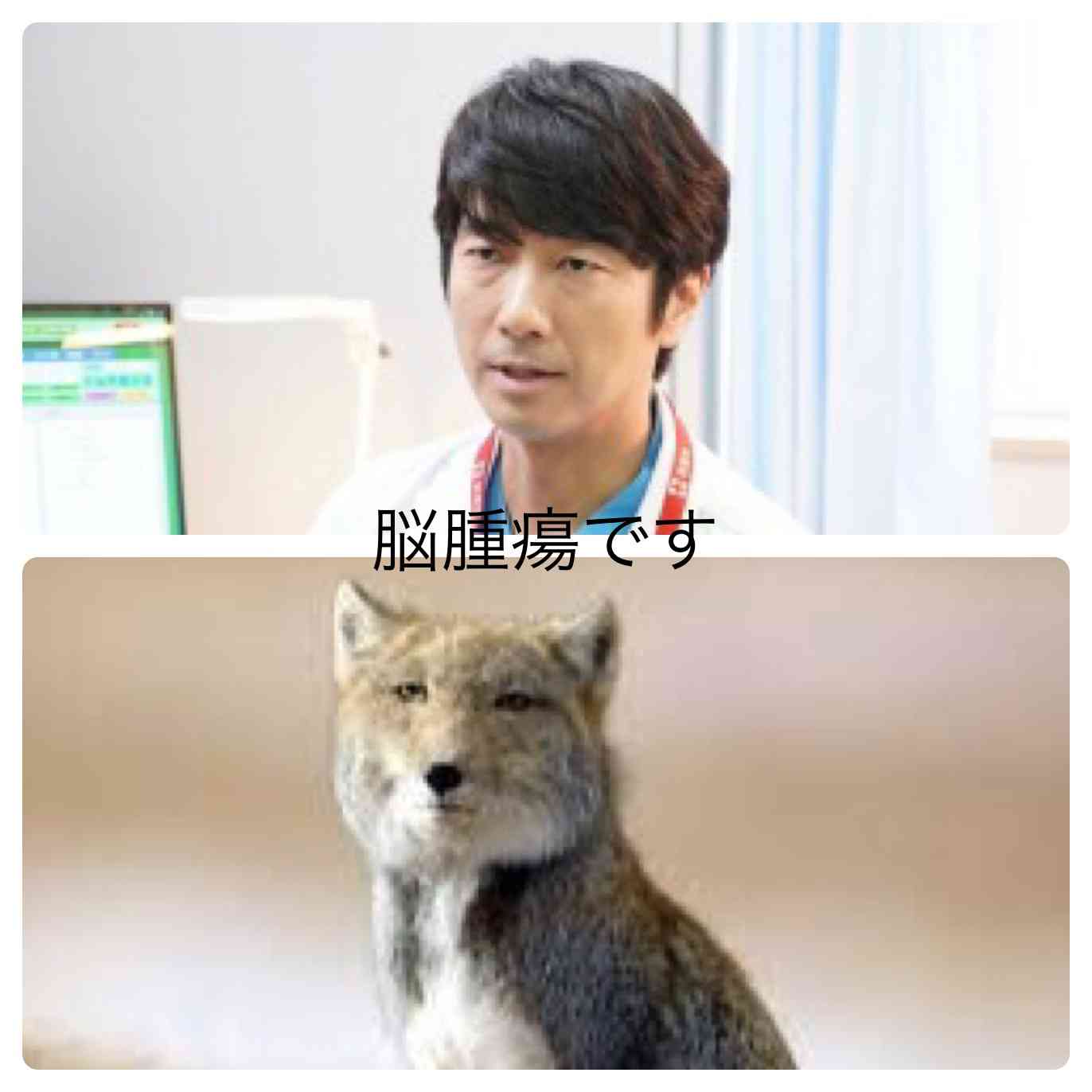 【実況・感想】偽装不倫 #08