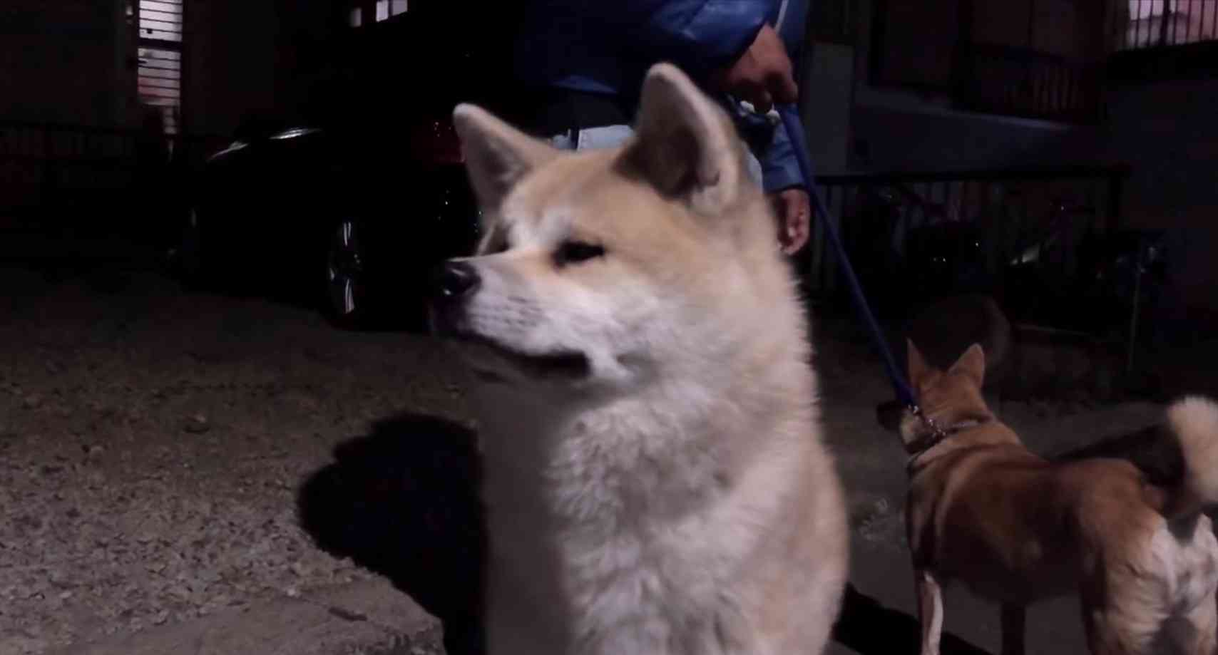 【閲覧注意】貼られた心霊写真を見て語るトピpart4