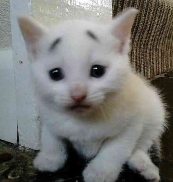 バスの混雑時にベビーカーを畳まない人