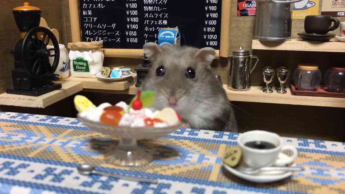 好きだけど食べられない物