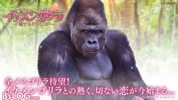 早くも映像化プラン!? ベストセラー・浜崎あゆみ「M」に急展開？