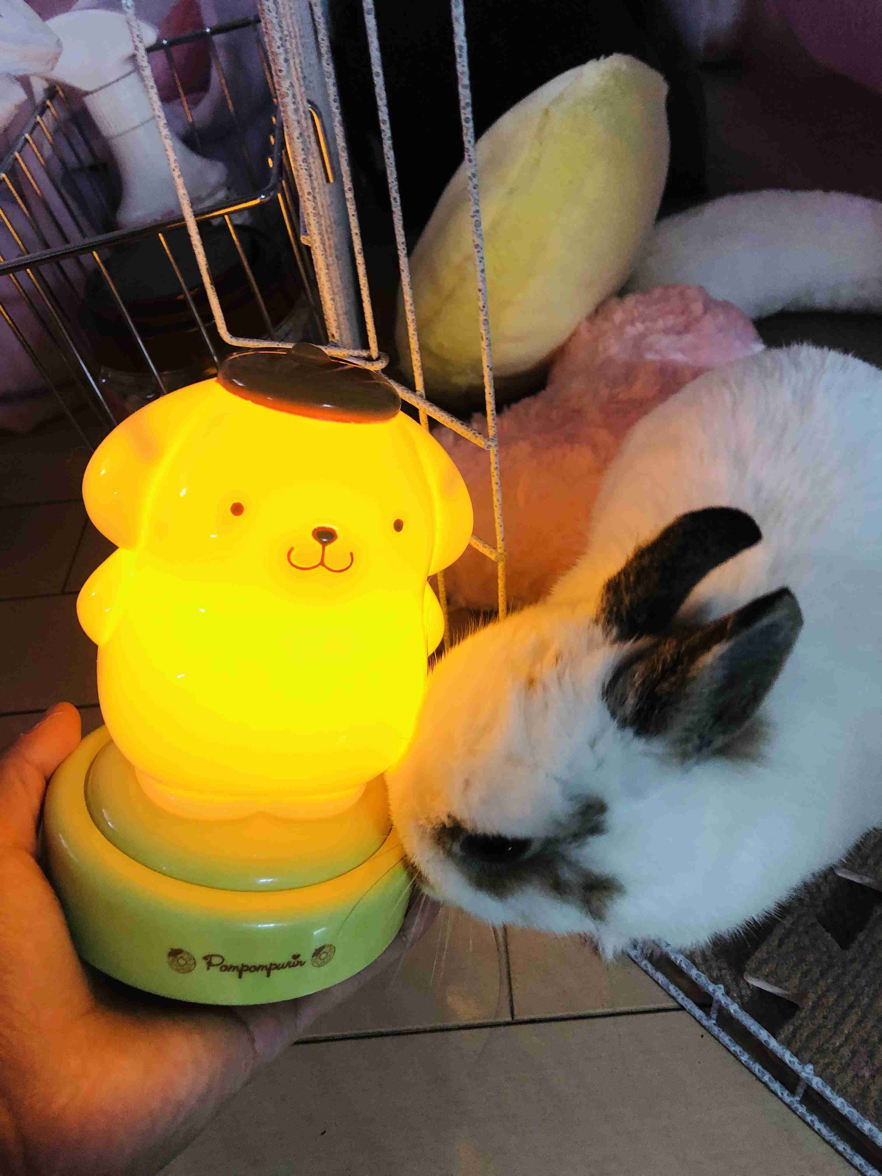 一番くじ引いたことある人～