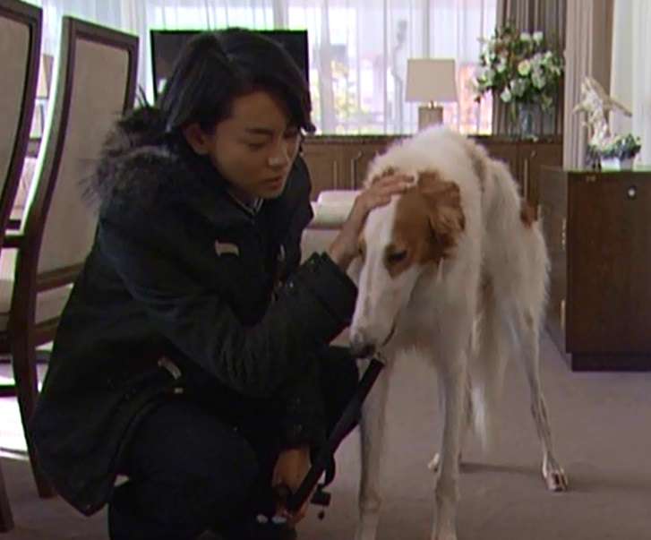 ガルちゃんで画像(サイト)を貼り付ける方法&練習Part24