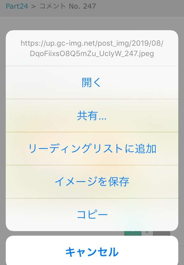 ガルちゃんで画像(サイト)を貼り付ける方法&練習Part24