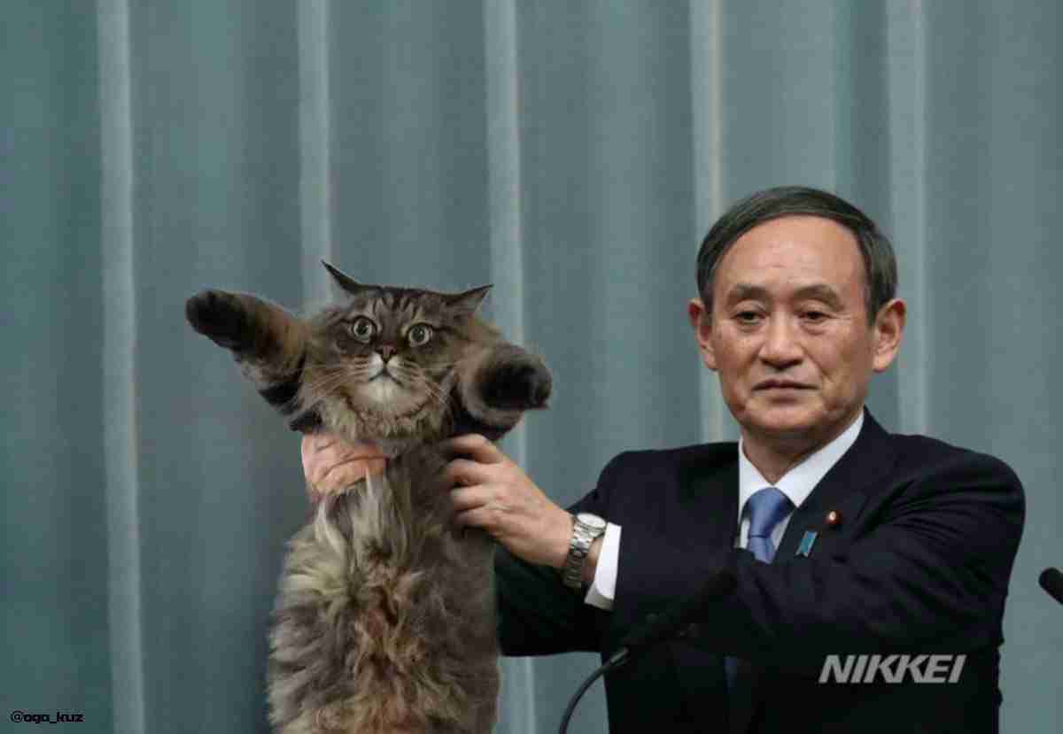 ガルちゃんで画像(サイト)を貼り付ける方法&練習Part24