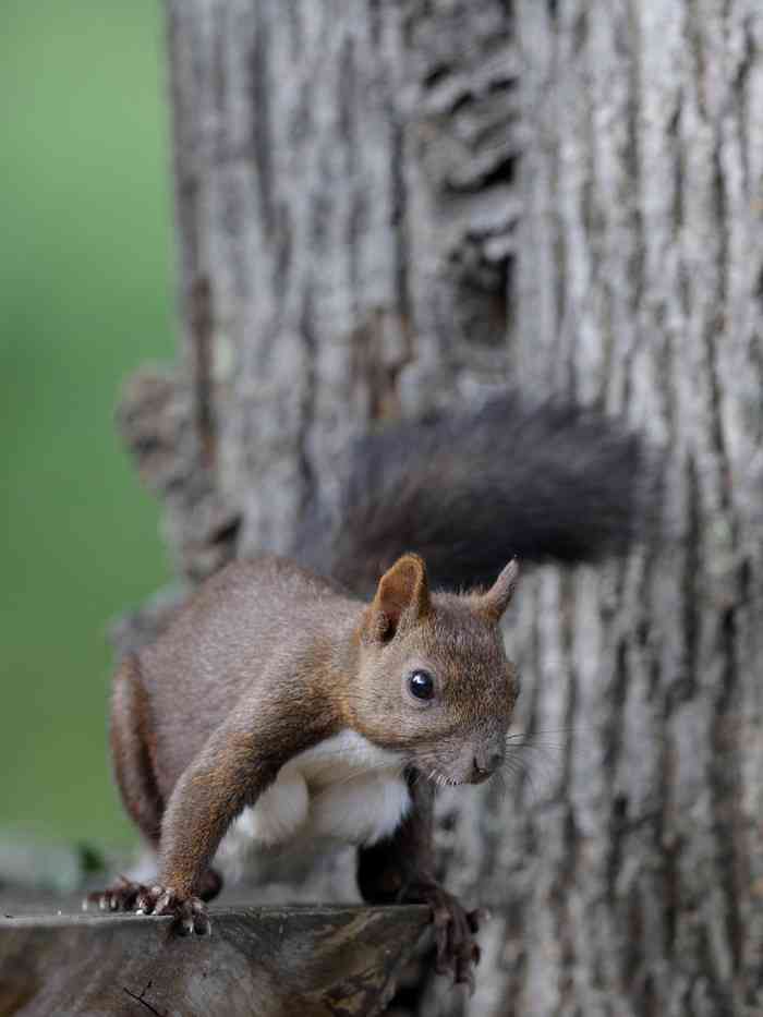 ブラジャーが死ぬほど嫌いな人