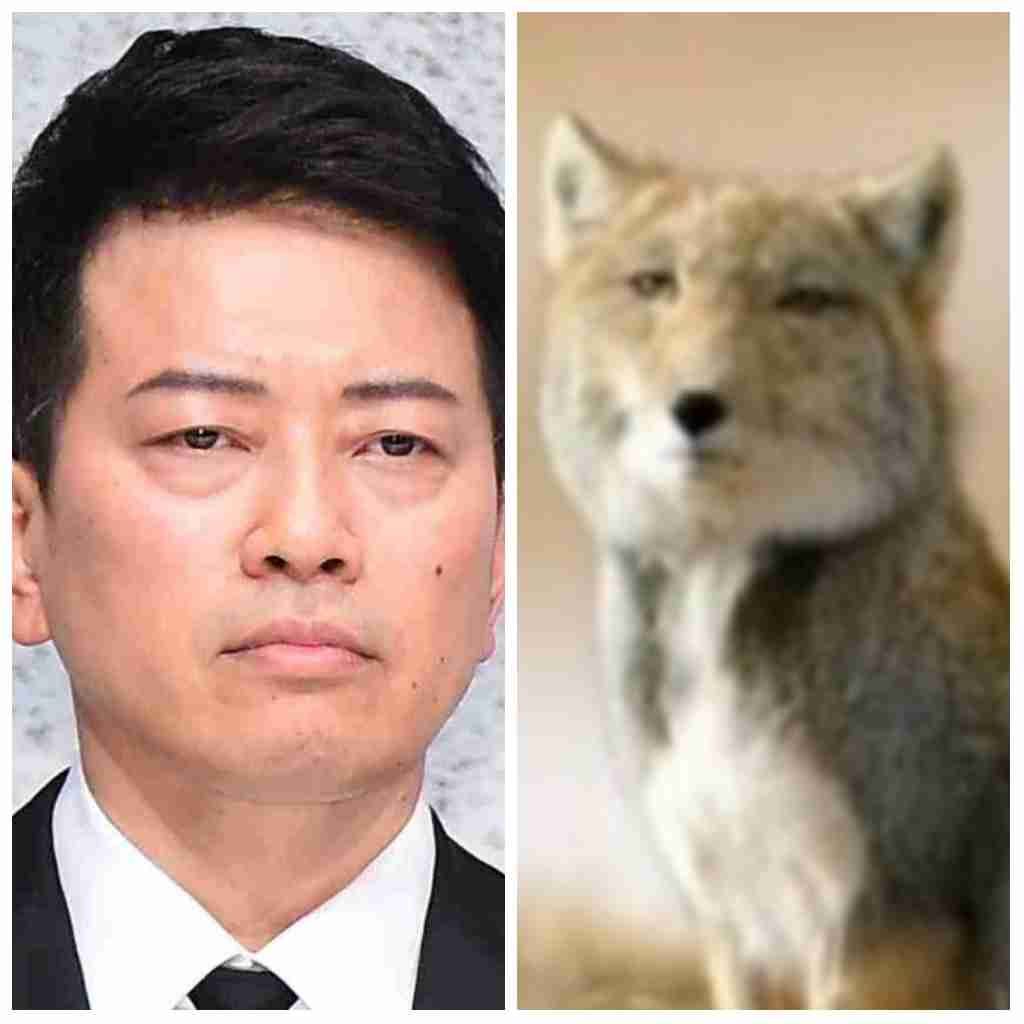 宮迫博之　吉本と会談していた　契約解除後初　結論は先送り
