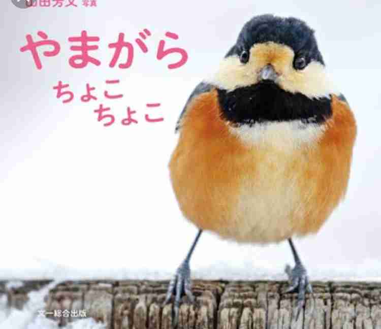 犬猫以外の動物が見たい