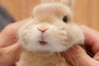 【気にしすぎる人】1ヶ月少しだけアホになるトピ【優しすぎる人】