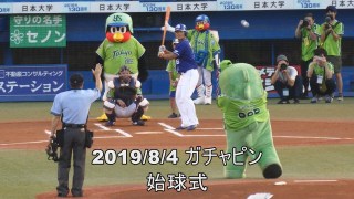 始球式やった有名人が見たい