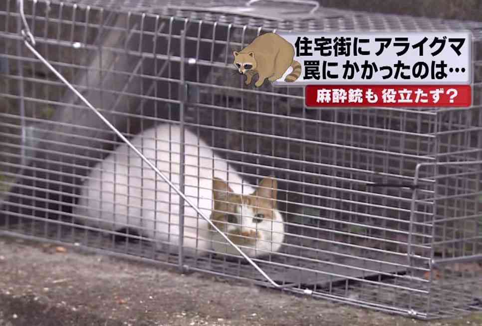 「こっち見んな」な画像が集まるトピ