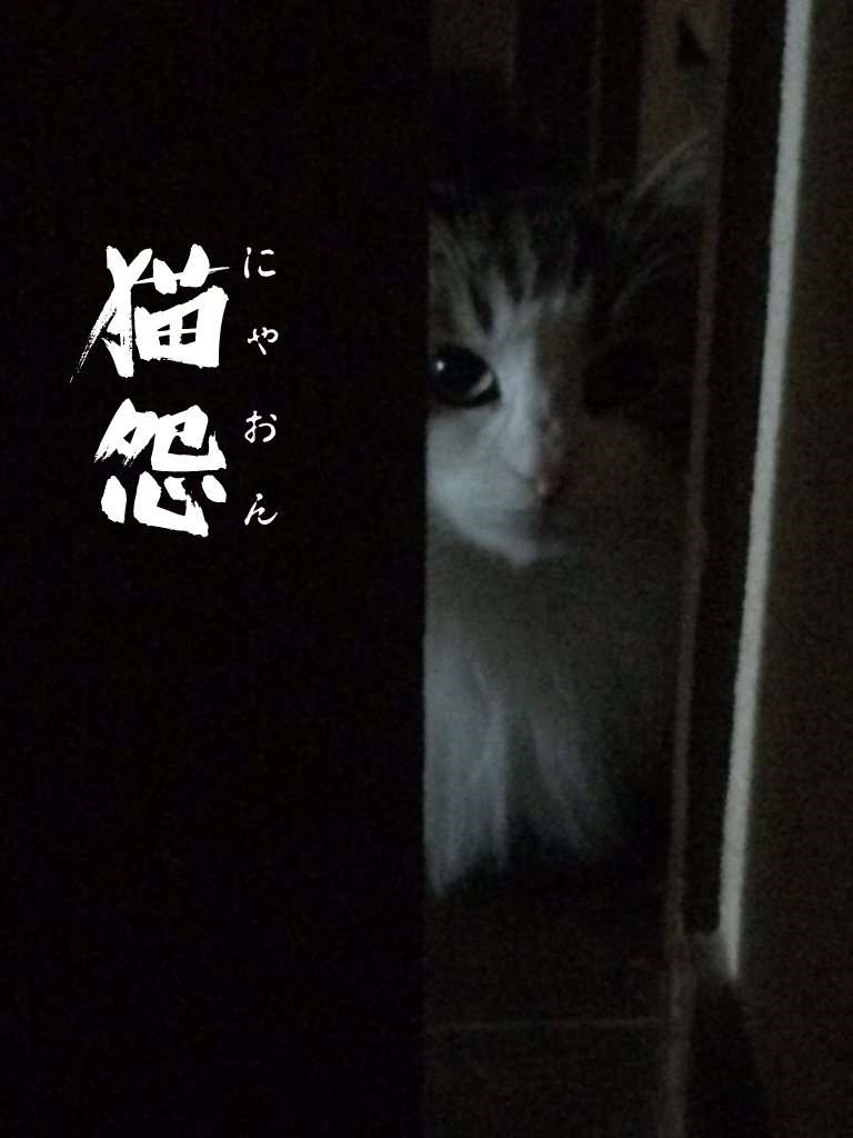 「こっち見んな」な画像が集まるトピ