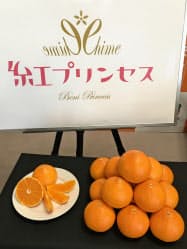 あなたの地元に誇れるものはある？
