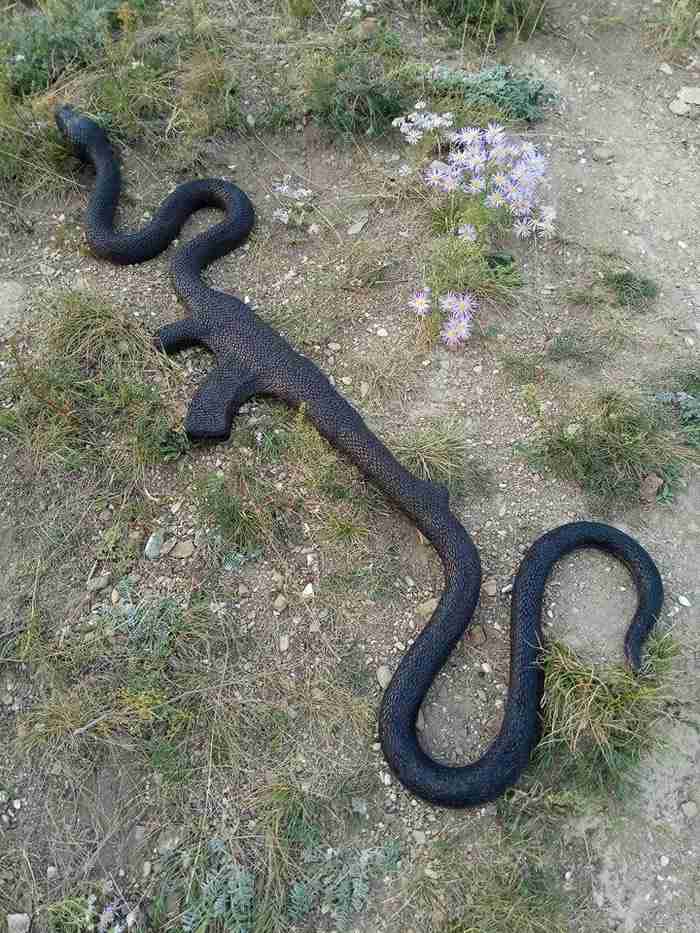 本物かコラかわからない画像を判定してもらうトピpart2
