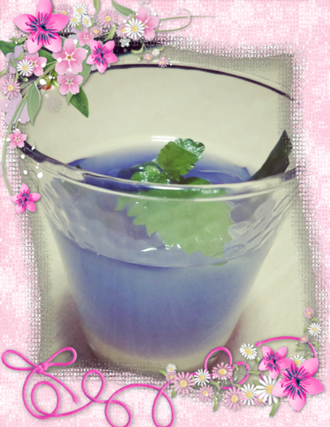 【8月】ガーデニングトピ🌺家庭菜園可
