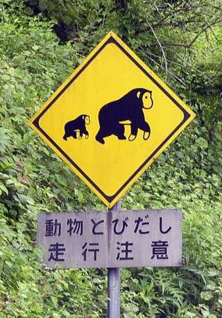 珍しい道路標識の画像ください