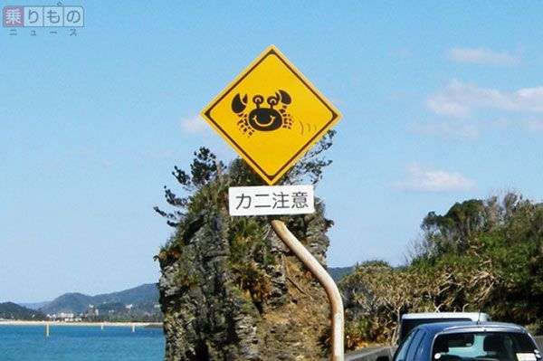 珍しい道路標識の画像ください