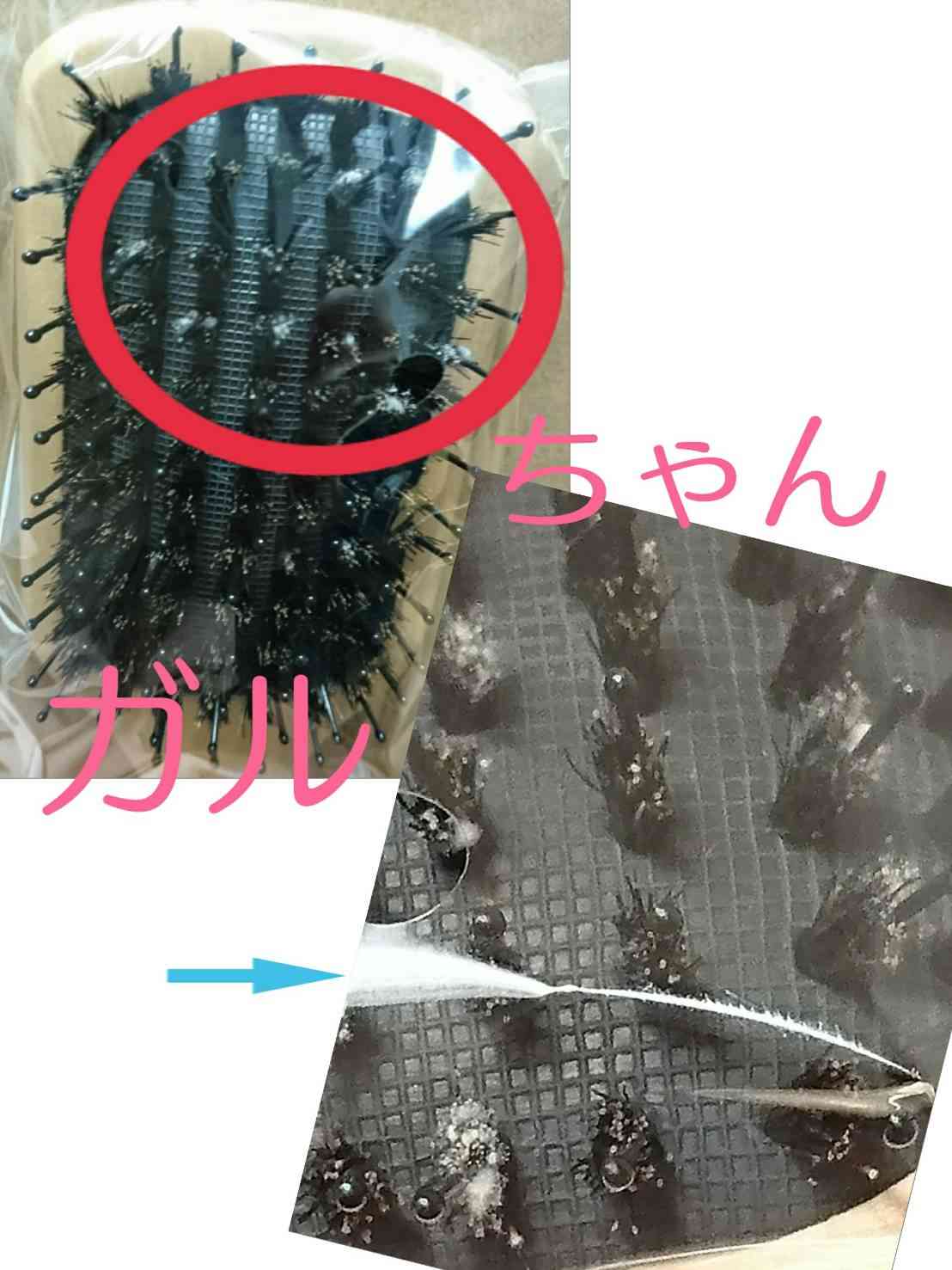 【定期トピ】雑誌付録 9・10月号