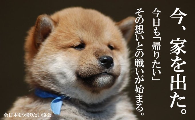 仕事中、時間が経つのは早く感じますか？遅く感じますか？