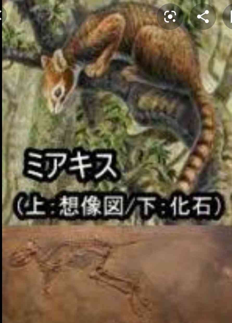 どうでもいい雑学