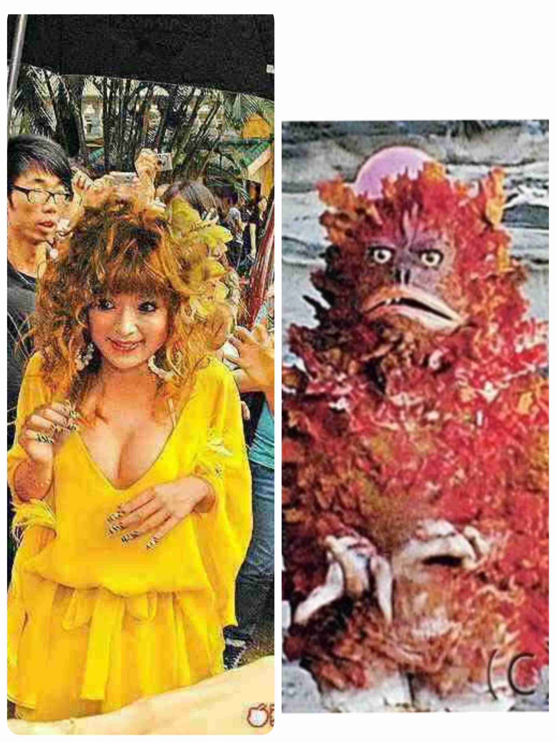キャスティングも注目 浜崎あゆみ小説 来春連ドラに オファー殺到の中でテレ朝が獲得