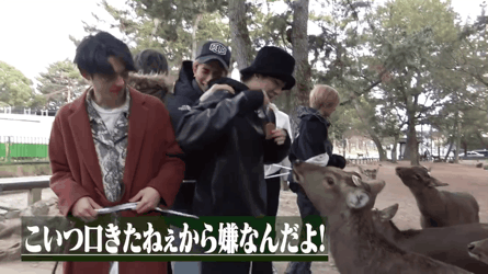 【ジャニーズ】GIF動画を貼るトピ Part3