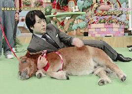 【ジャニーズ】GIF動画を貼るトピ Part3