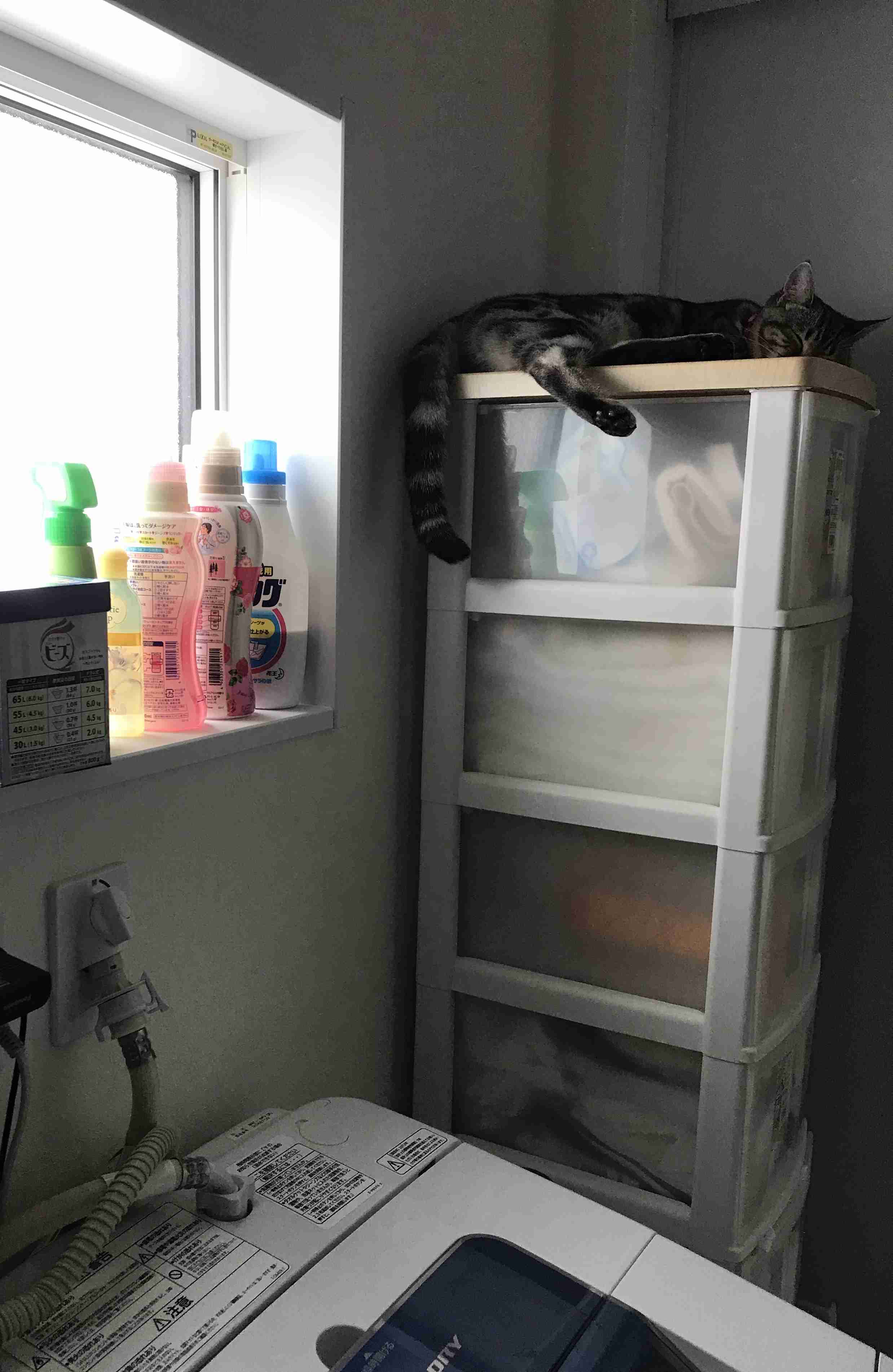 生活感溢れる写真☆part９