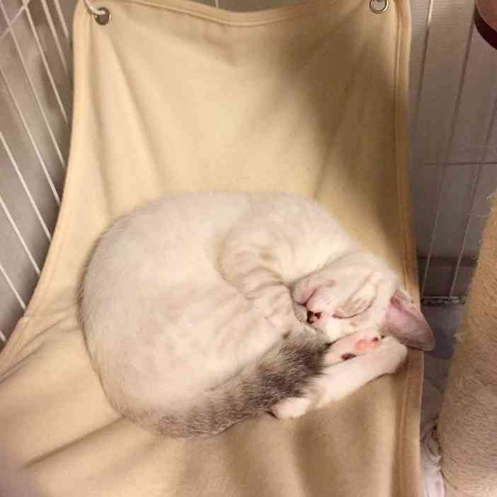 生活感溢れる写真☆part９