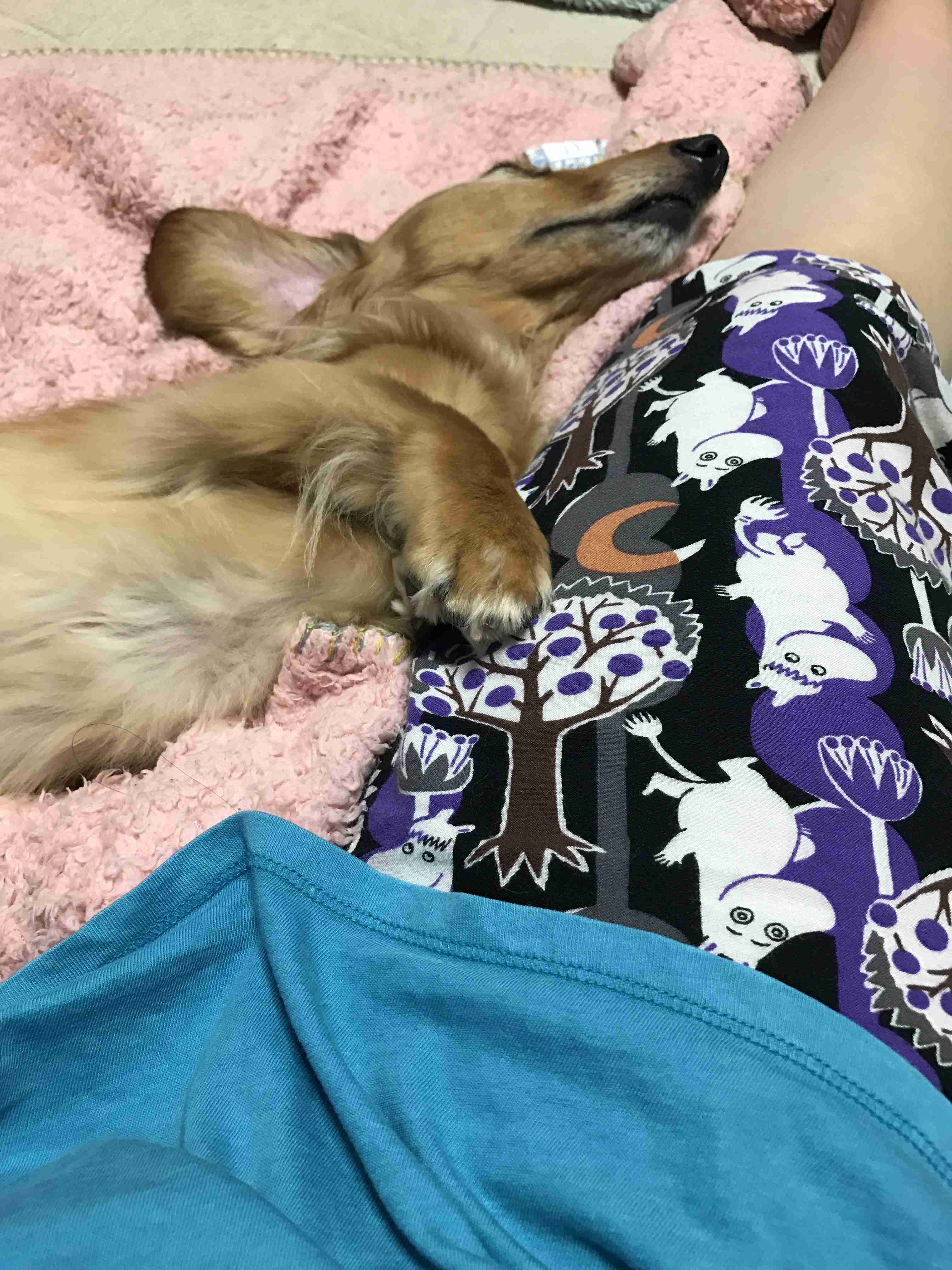 生活感溢れる写真☆part９