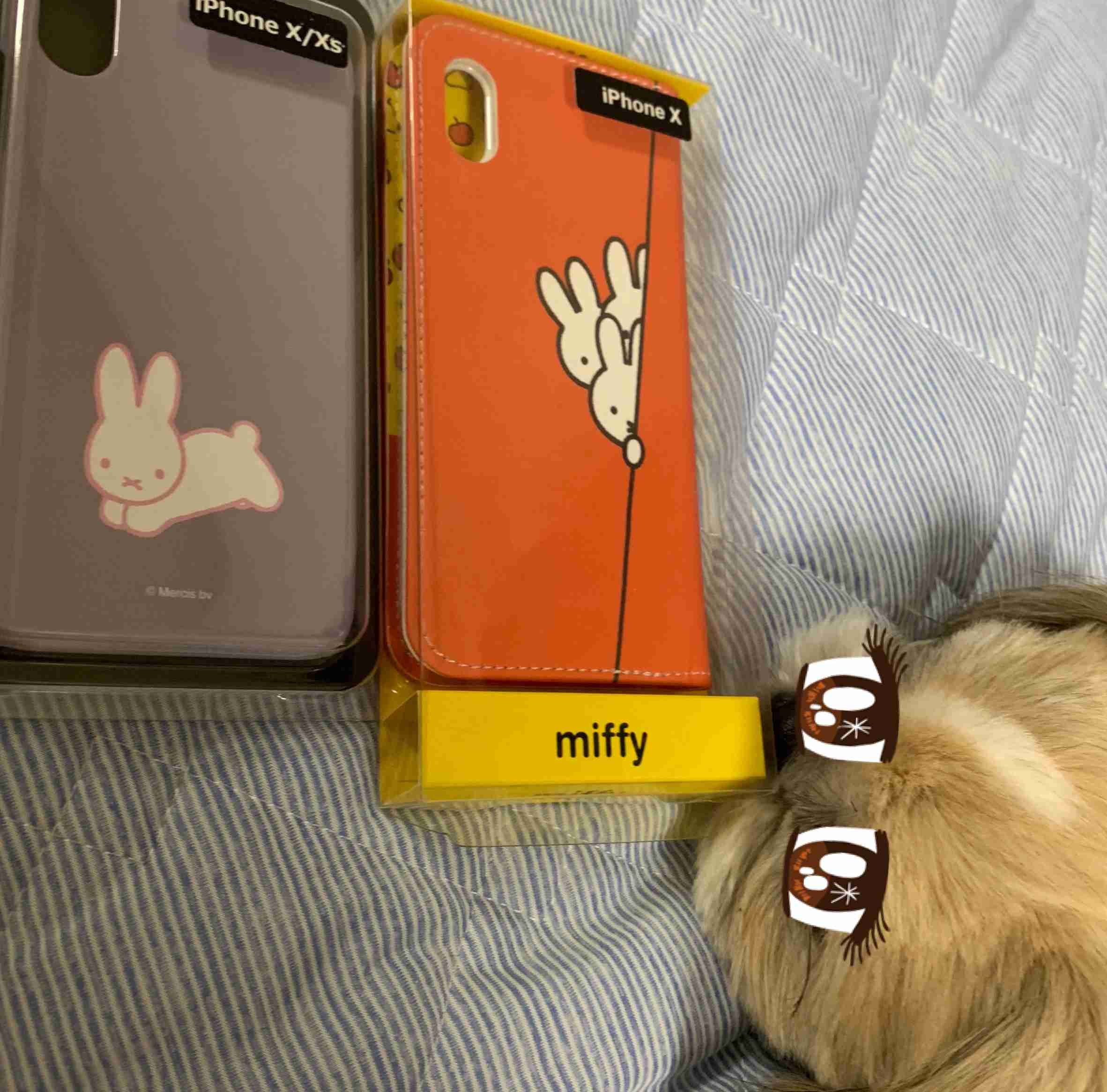 生活感溢れる写真☆part９