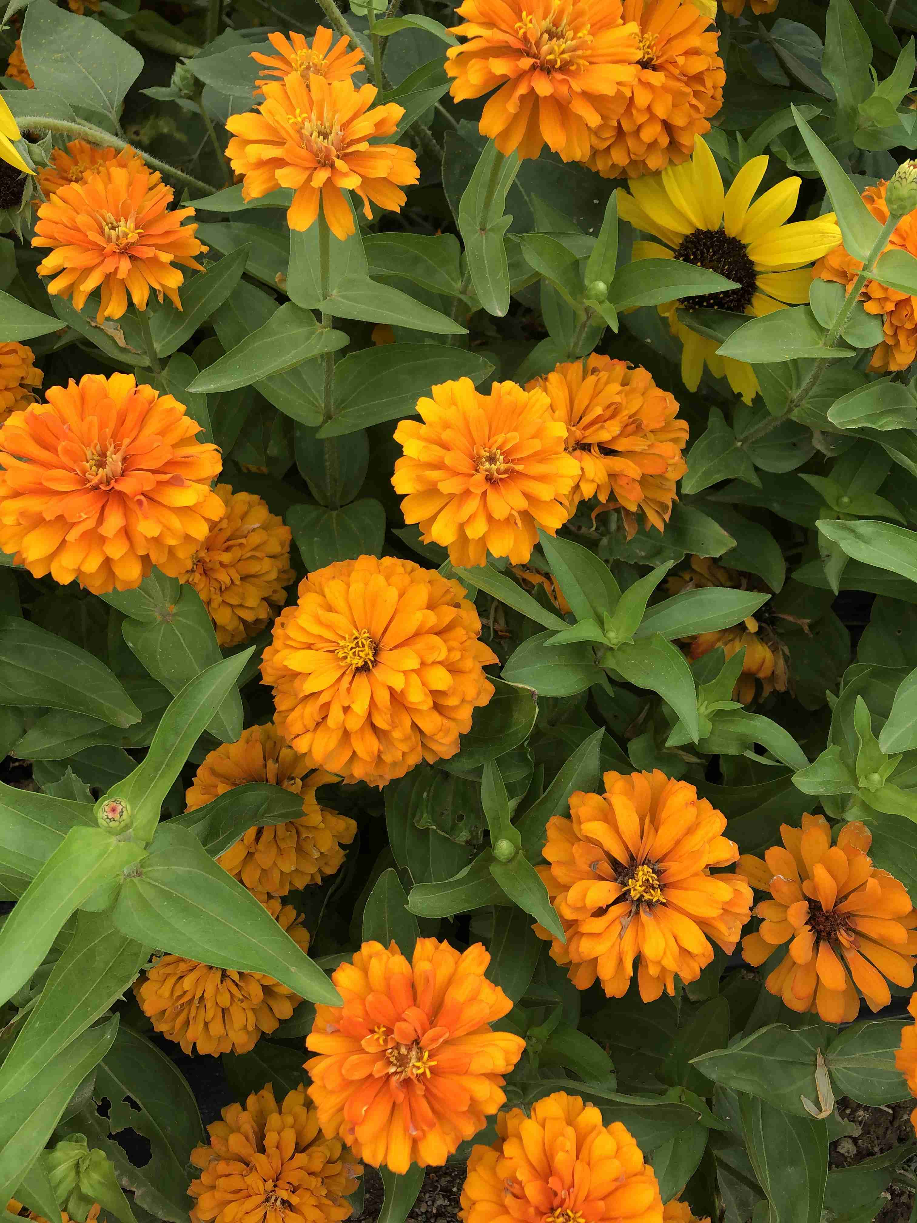 生活感溢れる写真☆part９