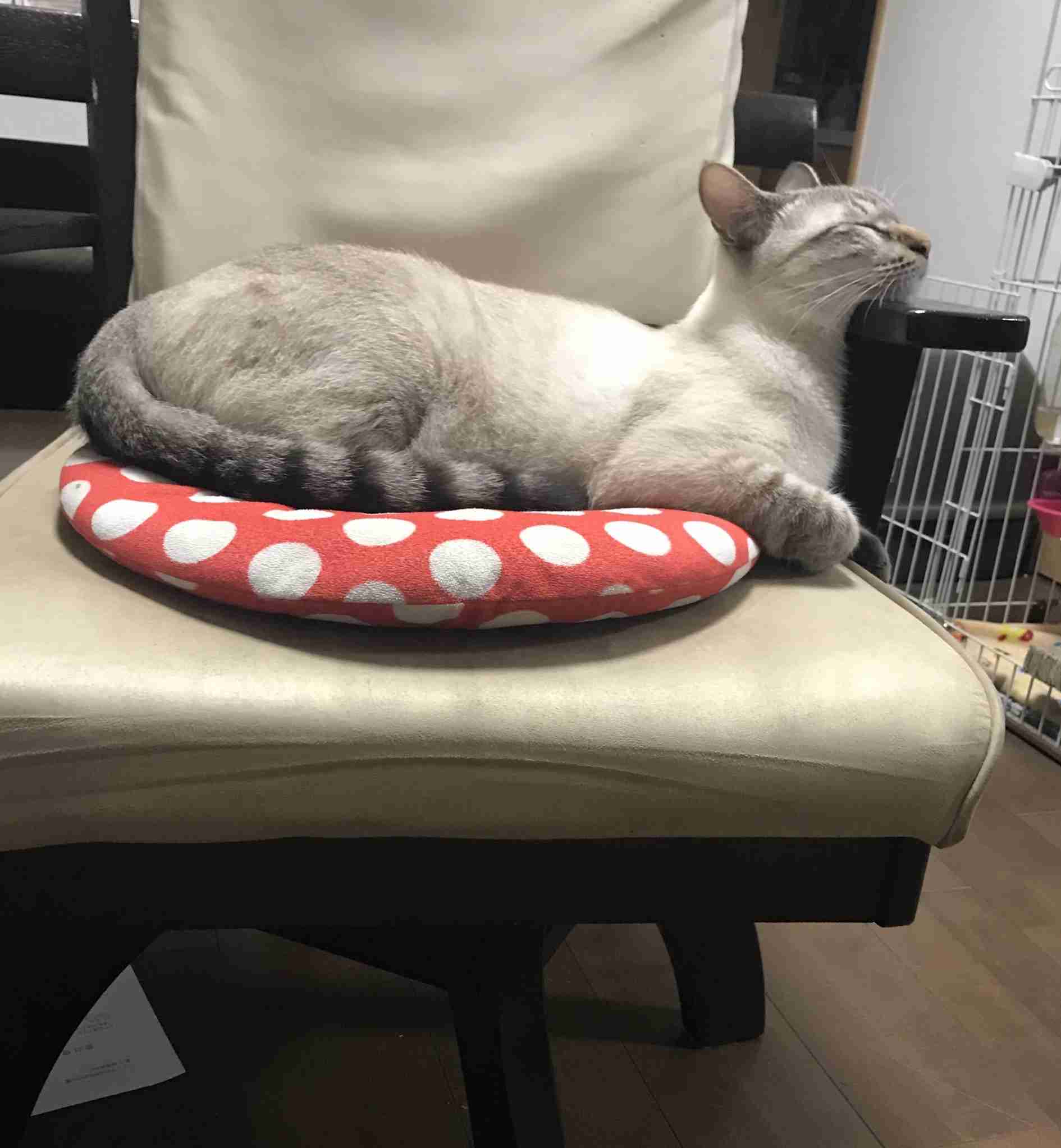 生活感溢れる写真☆part９