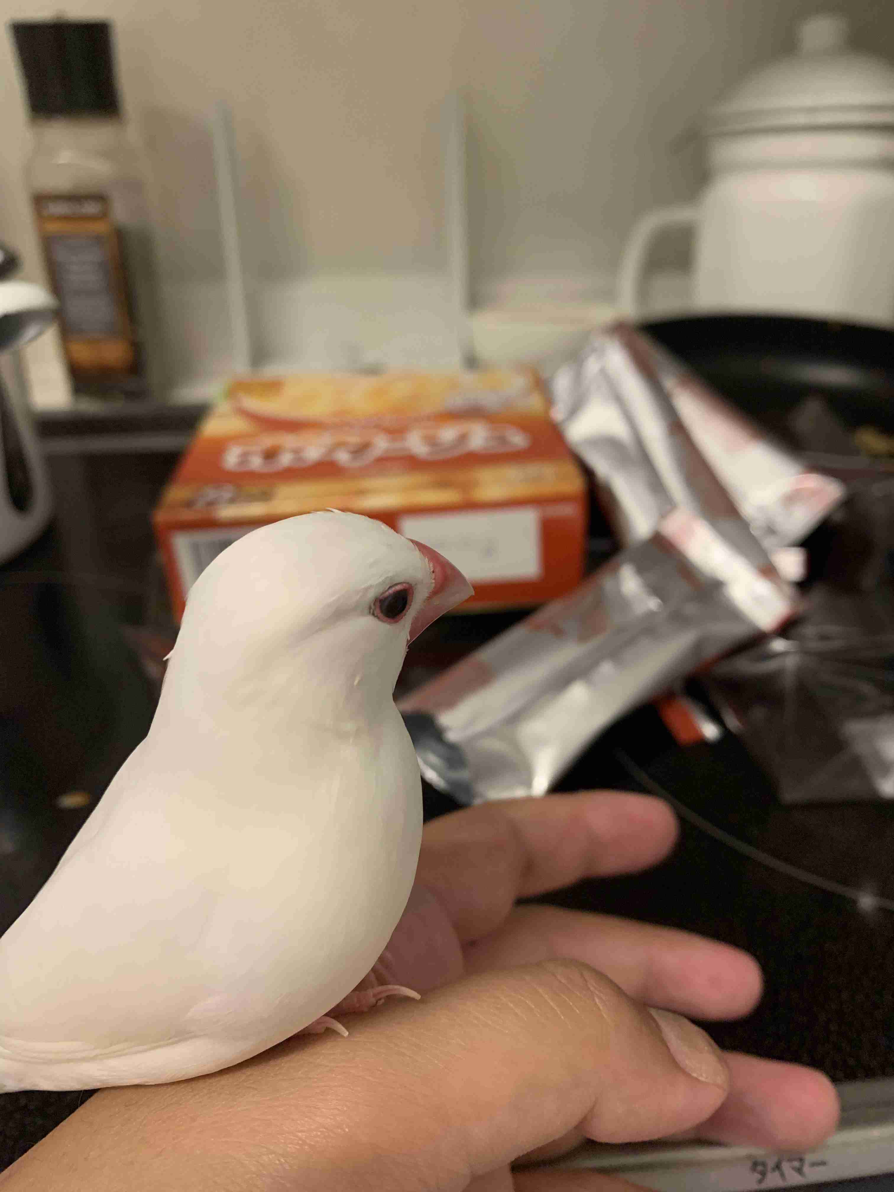 生活感溢れる写真☆part９