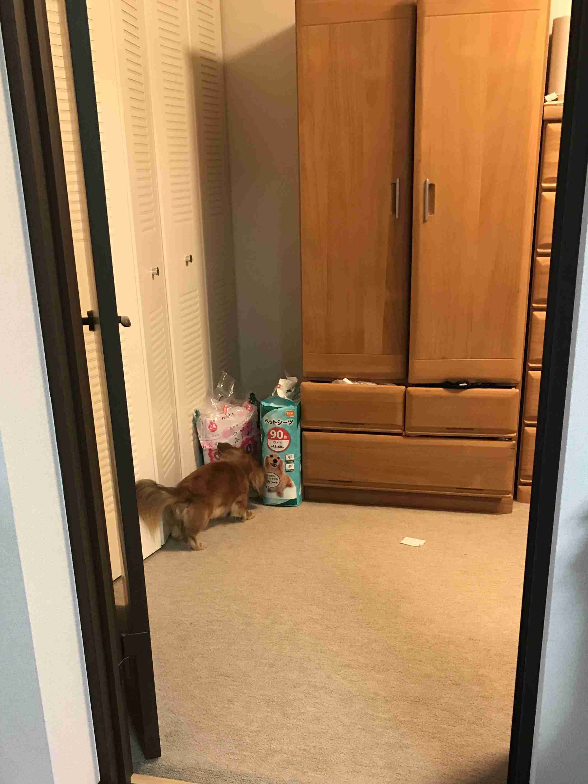 生活感溢れる写真☆part９