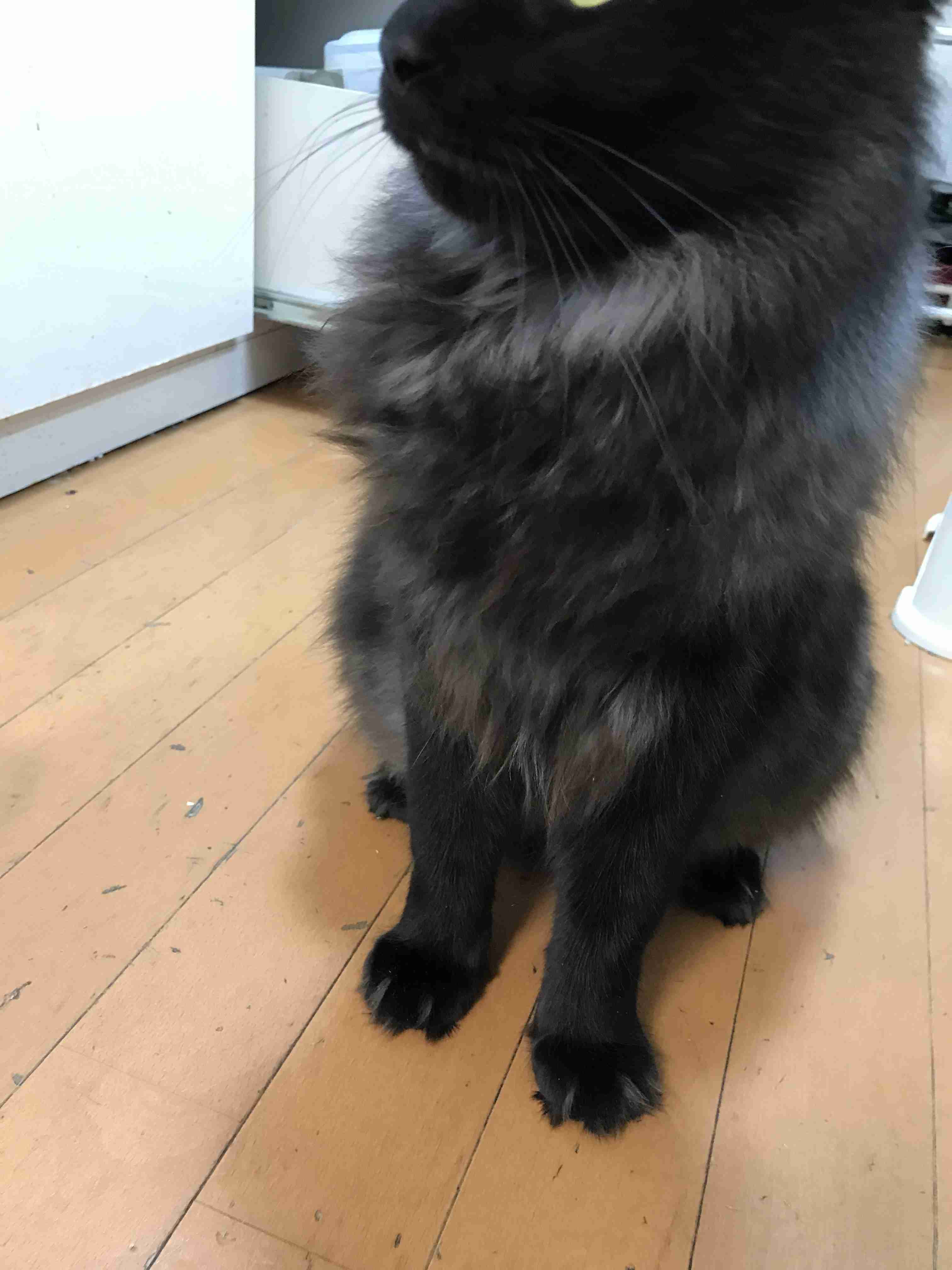 生活感溢れる写真☆part９