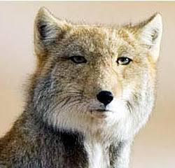 【ネタ】ガルちゃん出版社が出してる本のタイトル
