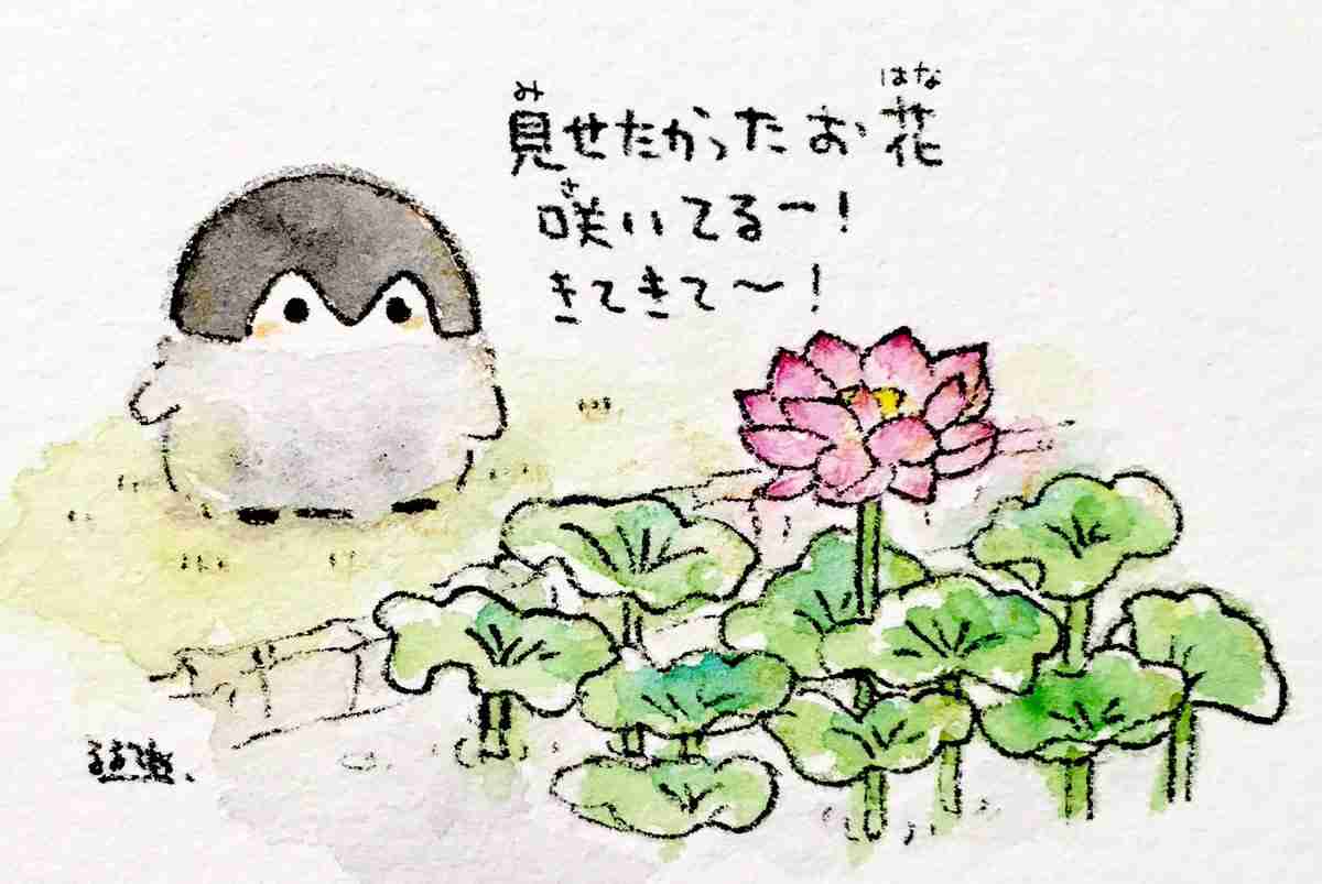 コウペンちゃんに誉めてもらうトピ