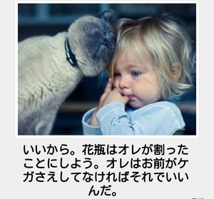 お気に入りの画像貼ってくトピ