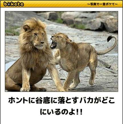 お気に入りの画像貼ってくトピ