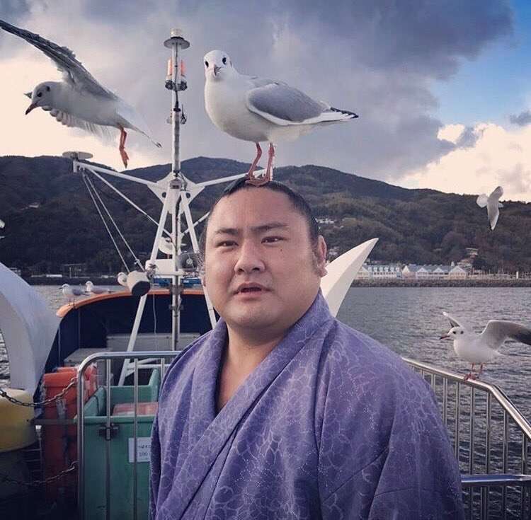 お気に入りの画像貼ってくトピ