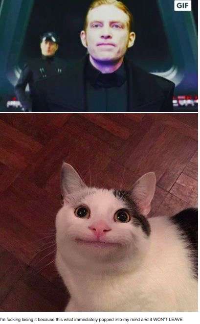 お気に入りの画像貼ってくトピ