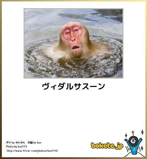 お気に入りの画像貼ってくトピ