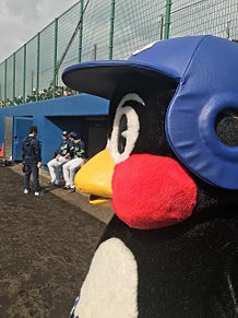 お気に入りの画像貼ってくトピ