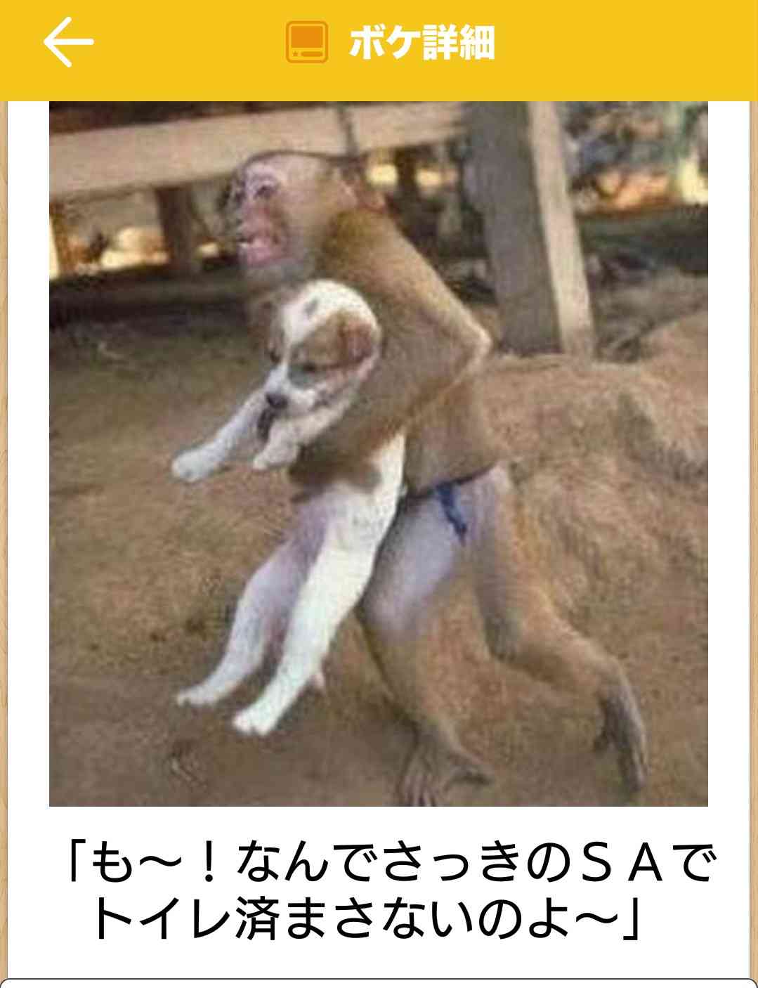 お気に入りの画像貼ってくトピ